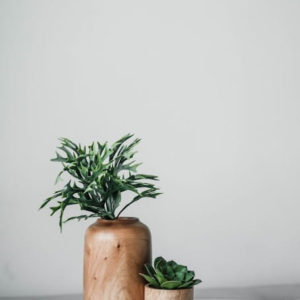 Wooden Planter Set